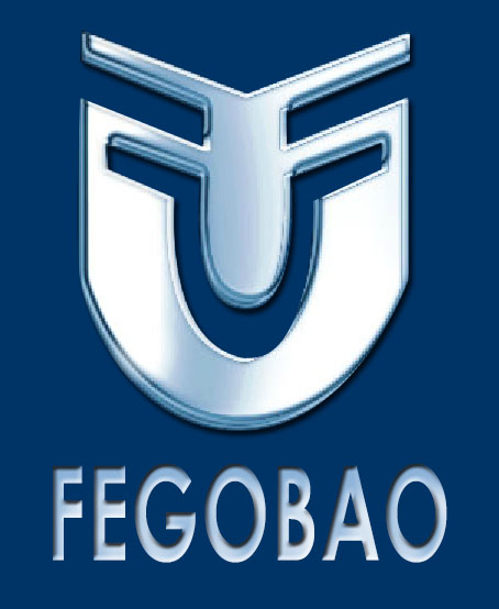 logo-fegobao